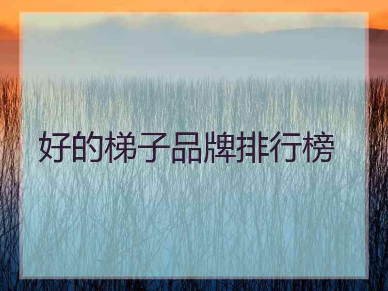好的梯子品牌排行榜