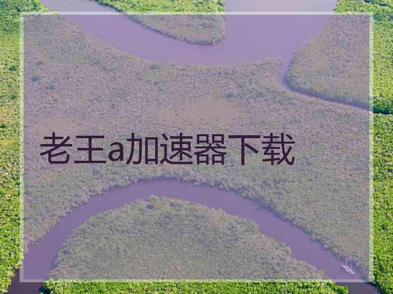 老王a加速器下载