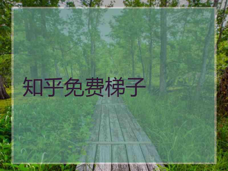 知乎免费梯子