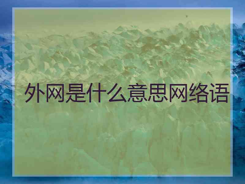 外网是什么意思网络语