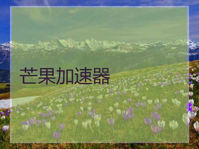 芒果加速器
