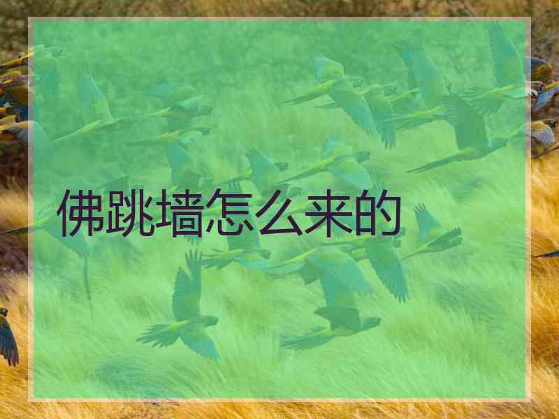 佛跳墙怎么来的